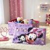 image:imageMarvel Spiderman Collapsible Toy Storage Bench and Ottoman 145 H x 145 D x 25 LMinnie Mouse