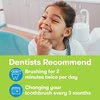 image:imageFIREFLY Ready Go Light Up Timer Toothbrush LOL Surprise Premium Soft Bristles 1 Minute Timer Less Mess Suction Cup Battery Included Easy Storage Dentist Recommended Ages 3Lol Surprise