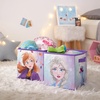 image:imageIdea Nuova LOL Surprise Set of Two Spacious Collpasible Storage Cubes 10x10Frozen 2