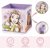 image:imageIdea Nuova LOL Surprise Set of Two Spacious Collpasible Storage Cubes 10x10Princess  Multicolor