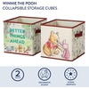 image:imageIdea Nuova LOL Surprise Set of Two Spacious Collpasible Storage Cubes 10x10Winnie the Pooh